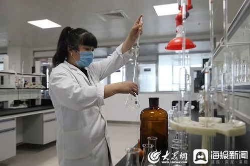 聊城市產品質量監督檢驗所黨支部 黨建引領鑄匠心 筑牢檢驗檢測服務基石